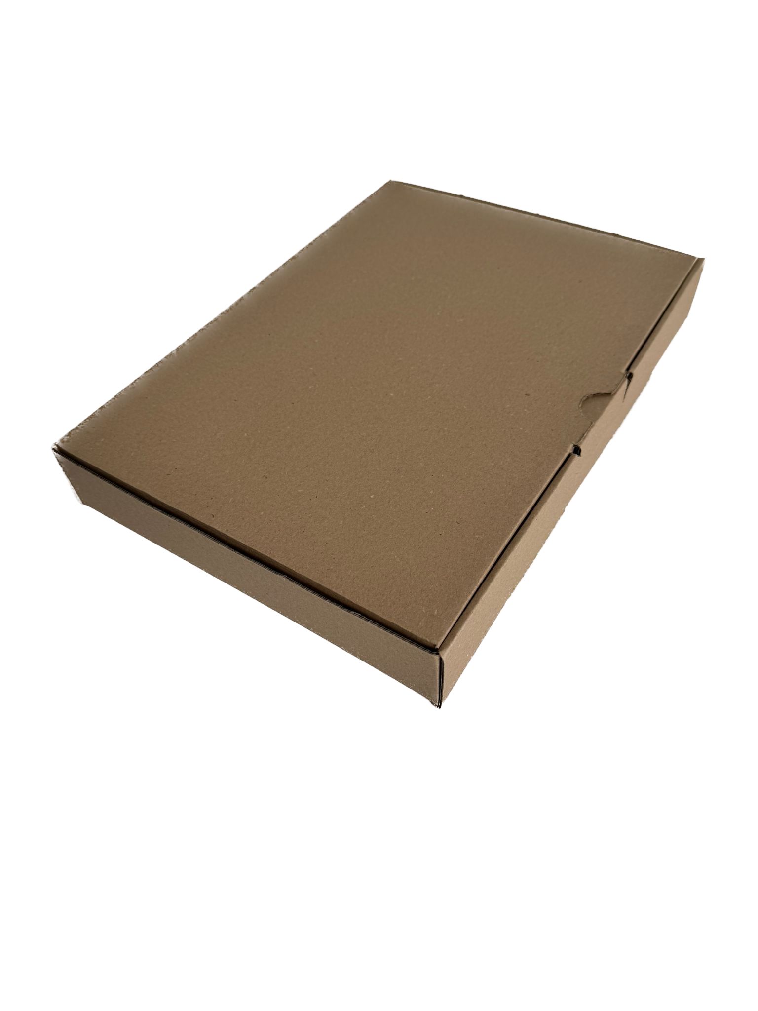 Maxibrief Karton "Concept Maxi" 350x250x50 mm