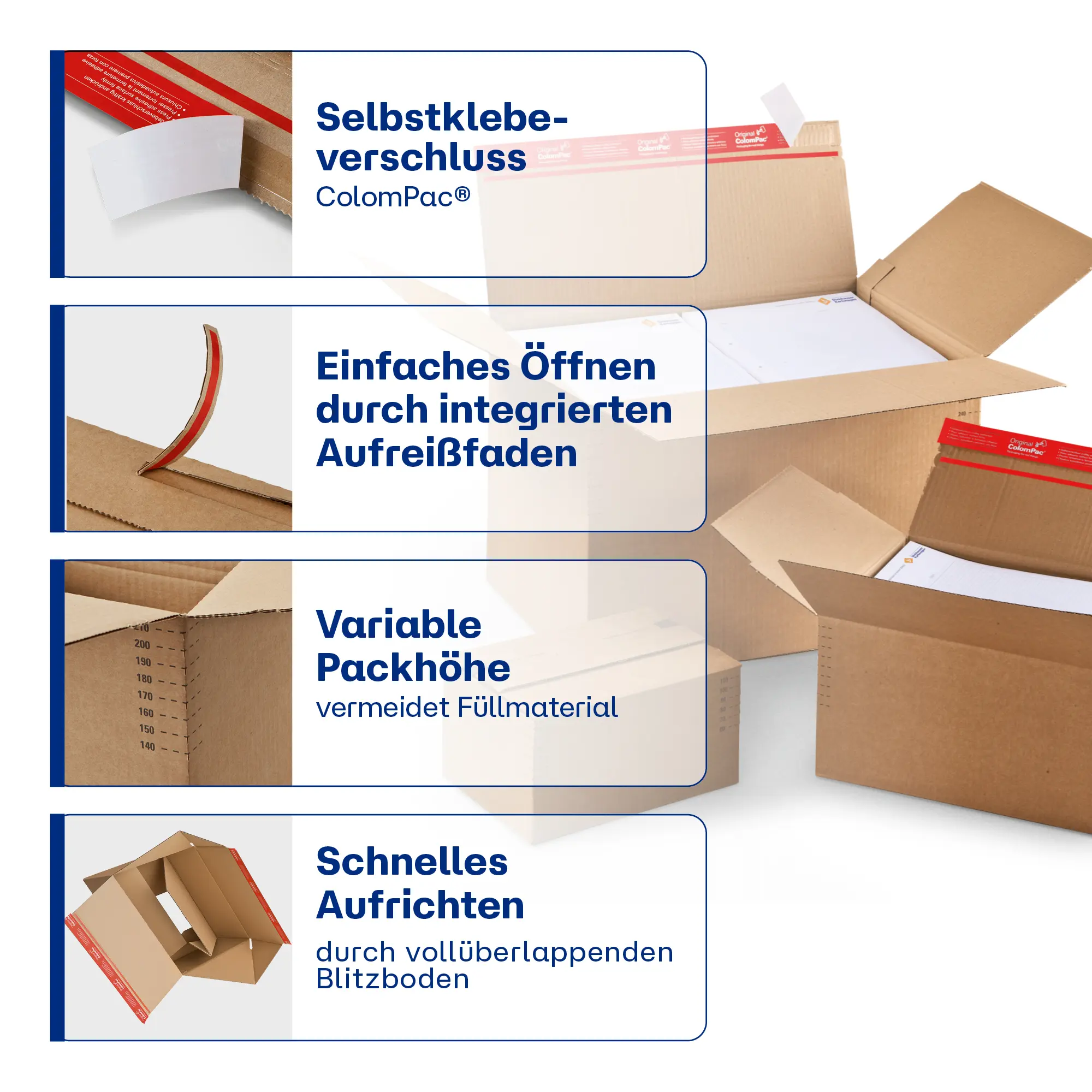 Blitzbodenkarton höhenvariabel 229x164x50-115 mm