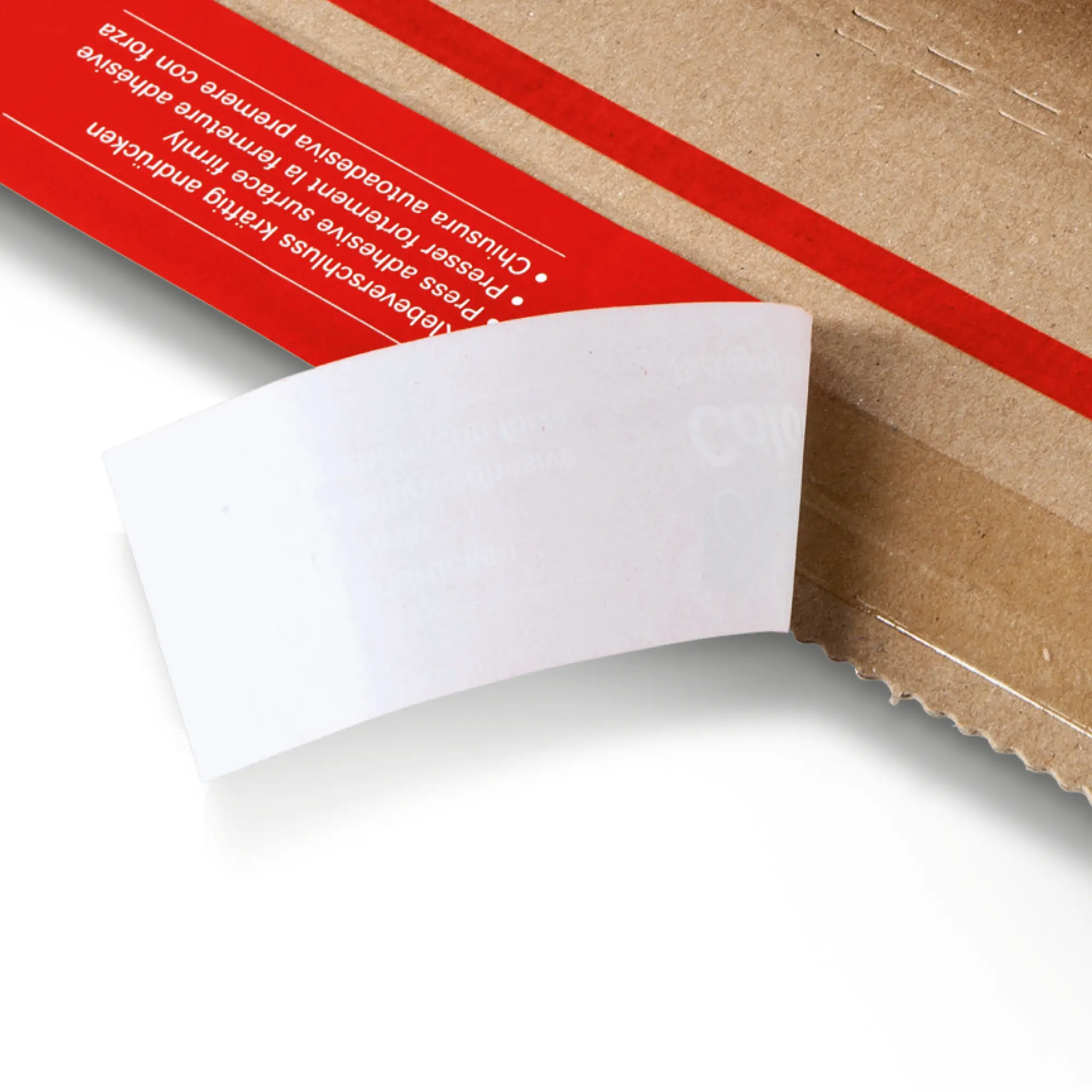 Buchverpackung aus Wellpappe 310x220x-92 mm