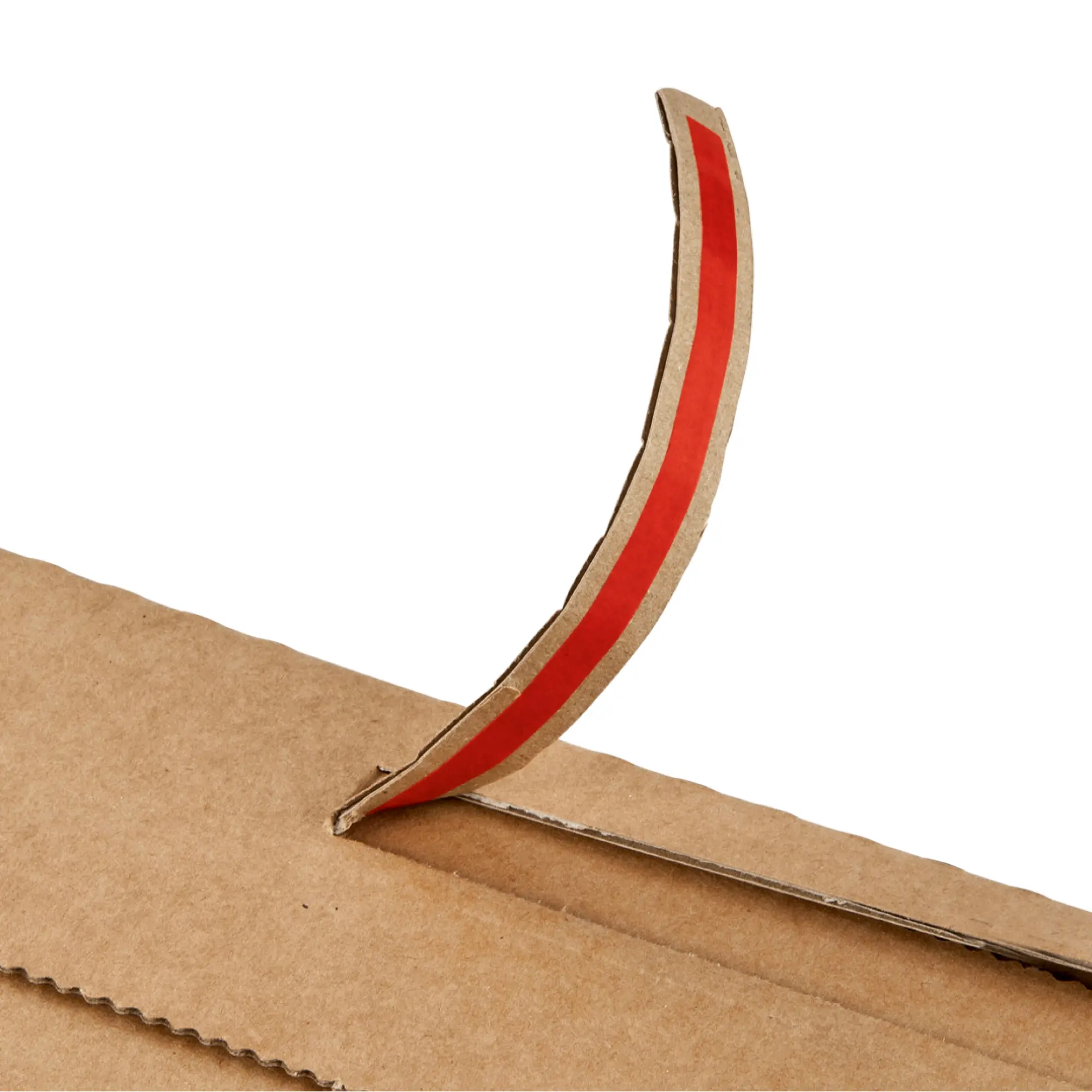 Flaschen-Karton 305x74x74 mm